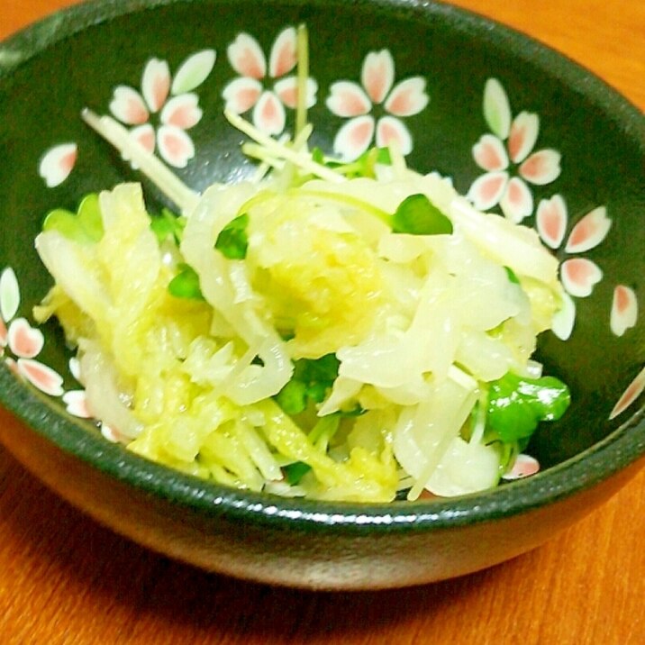 かいわれ大根と白菜の梅だし醤油和え